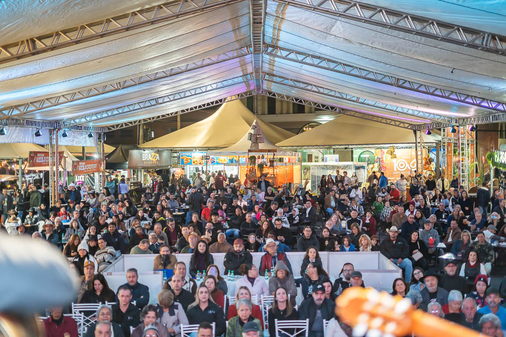 Thamyris Prince - viola caipira3-3